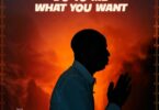 Dunsin Oyekan - Do to Me What You Want